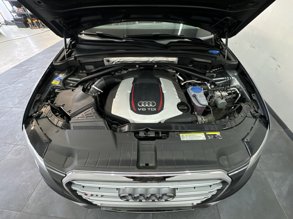 40229740-40.jpg